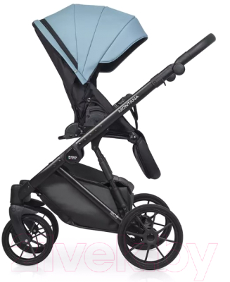 Детская универсальная коляска Riko Montana Ecco 2 в 1