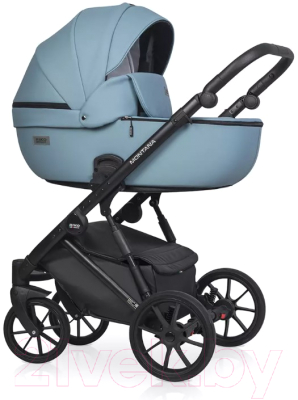 Детская универсальная коляска Riko Montana Ecco 2 в 1