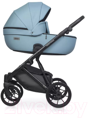 Детская универсальная коляска Riko Montana Ecco 2 в 1