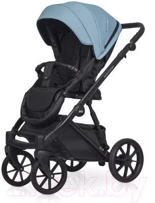 Детская универсальная коляска Riko Montana Ecco 2 в 1