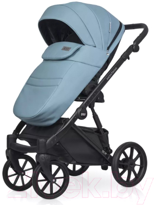 Детская универсальная коляска Riko Montana Ecco 2 в 1