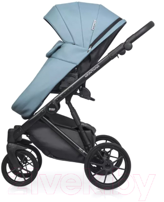 Детская универсальная коляска Riko Montana Ecco 2 в 1