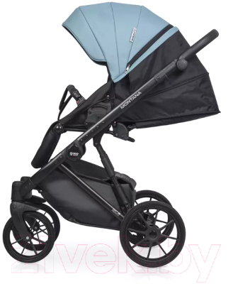 Детская универсальная коляска Riko Montana Ecco 2 в 1