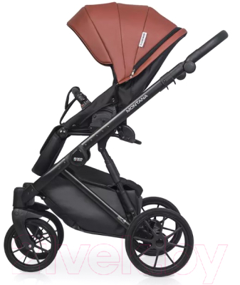 Детская универсальная коляска Riko Montana Ecco 2 в 1