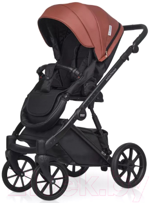 Детская универсальная коляска Riko Montana Ecco 2 в 1