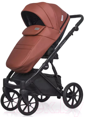 Детская универсальная коляска Riko Montana Ecco 2 в 1