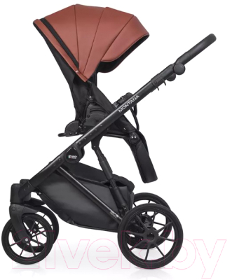 Детская универсальная коляска Riko Montana Ecco 2 в 1