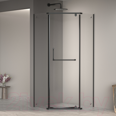 Душевой уголок RGW PA-081 / 35088122-14