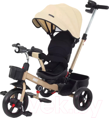 Трехколесный велосипед с ручкой Rant Basic Ghost / RB250 - фото