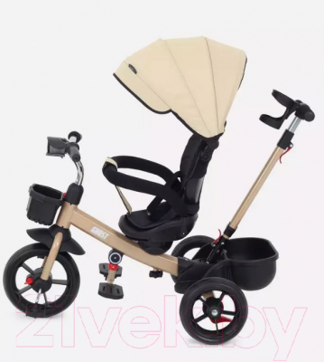 Трехколесный велосипед с ручкой Rant Basic Ghost / RB250