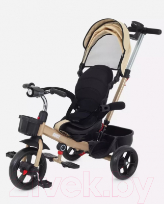 Трехколесный велосипед с ручкой Rant Basic Ghost / RB250