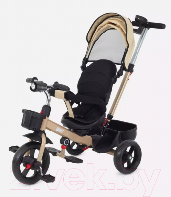 Трехколесный велосипед с ручкой Rant Basic Ghost / RB250