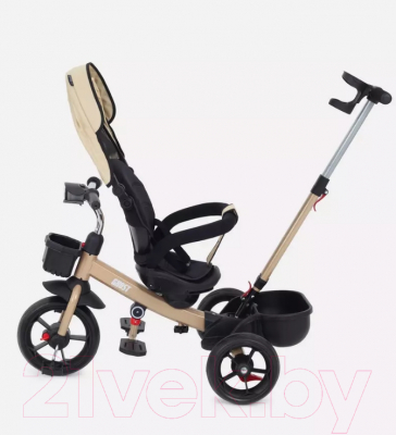 Трехколесный велосипед с ручкой Rant Basic Ghost / RB250