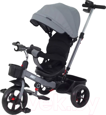 Трехколесный велосипед с ручкой Rant Basic Ghost / RB250 - фото