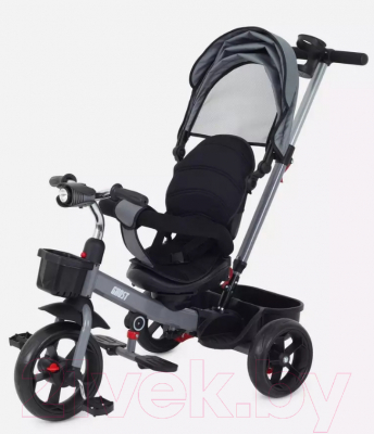 Трехколесный велосипед с ручкой Rant Basic Ghost / RB250