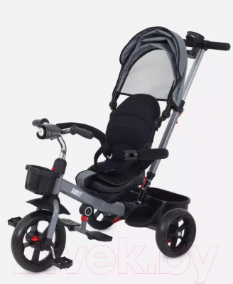 Трехколесный велосипед с ручкой Rant Basic Ghost / RB250