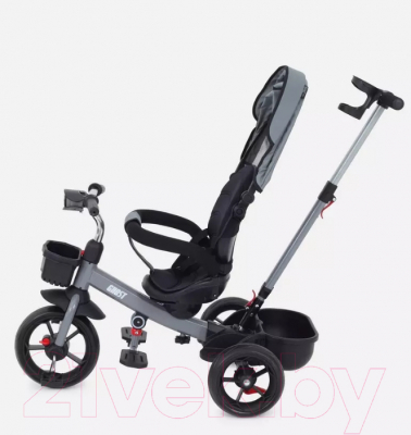 Трехколесный велосипед с ручкой Rant Basic Ghost / RB250