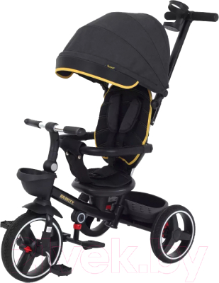 Трехколесный велосипед с ручкой Rant Gravity / RB200 - фото