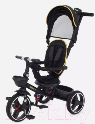 Трехколесный велосипед с ручкой Rant Gravity / RB200