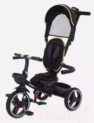 Трехколесный велосипед с ручкой Rant Gravity / RB200