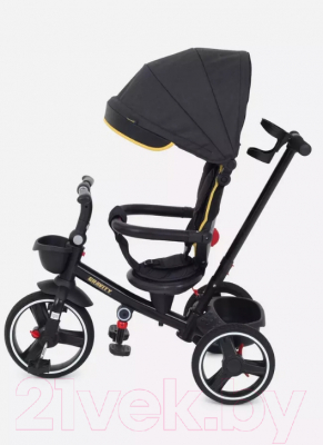 Трехколесный велосипед с ручкой Rant Gravity / RB200