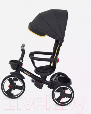 Трехколесный велосипед с ручкой Rant Gravity / RB200