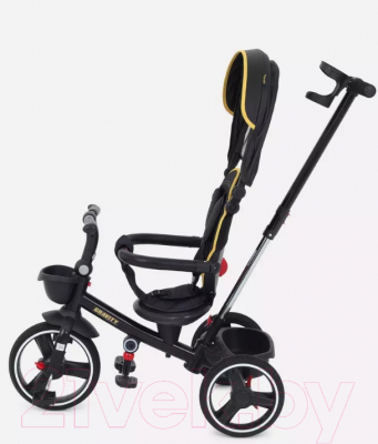 Трехколесный велосипед с ручкой Rant Gravity / RB200