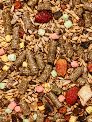 Корм для грызунов Mikimeals Для шиншилл