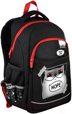 Школьный рюкзак Феникс+ Дерзкий кот / 61408 - фото