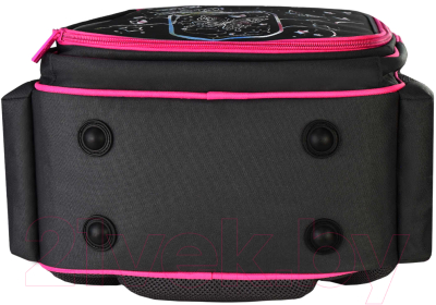 Школьный рюкзак Феникс+ Волшебные бабочки / 62981