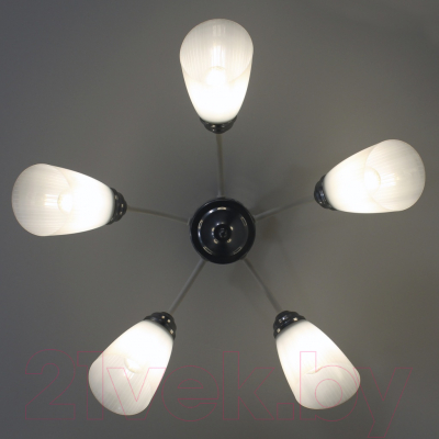 Люстра Элетех Китти 151 НПБ 01-5х60-134 Е27 / 1005405001 (белый/хром)