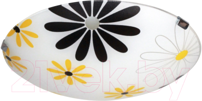 Потолочный светильник Элетех Колорика Арин 250 НПБ 01-60-130 М15 / 1005404769 - фото