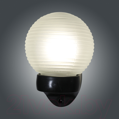 Бра уличное Элетех Кольца 150 НБУ 06-60-02 / 1030480249