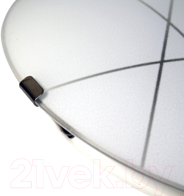 Потолочный светильник Элетех Контур 300 НПБ 01-2х60-139 М16 / 1005206056 (матовый белый)