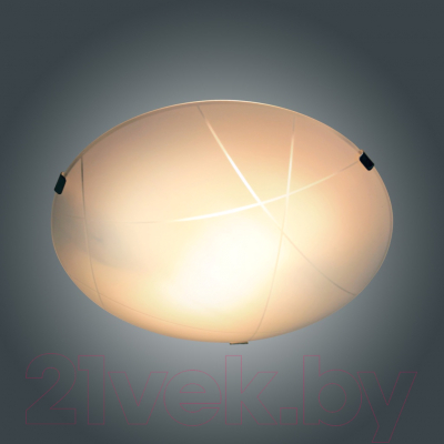 Потолочный светильник Элетех Контур 300 НПБ 01-2х60-139 М16 / 1005206056 (матовый белый)