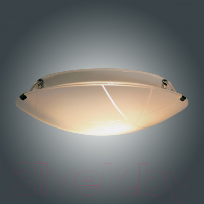 Потолочный светильник Элетех Контур 300 НПБ 01-2х60-139 М16 / 1005206056 (матовый белый)