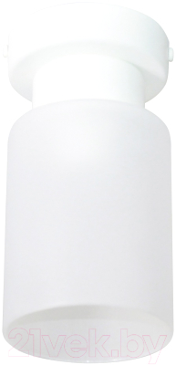 Потолочный светильник Элетех Крош 111 НПБ 01-60-104 Е27 / 1005404605 (белый муар) - фото