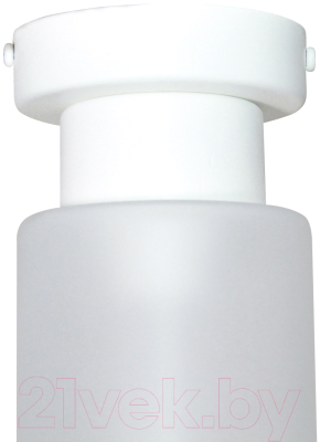 Потолочный светильник Элетех Крош 111 НПБ 01-60-104 Е27 / 1005404605 (белый муар)
