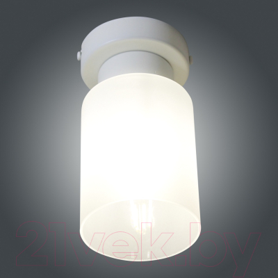 Потолочный светильник Элетех Крош 111 НПБ 01-60-104 Е27 / 1005404605 (белый муар)
