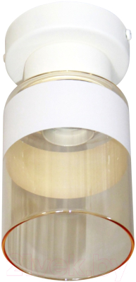 Потолочный светильник Элетех Крош 111 НПБ 01-60-104 Е27 / 1005404604 (белый муар)