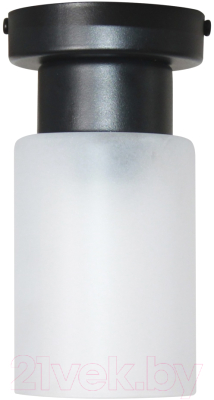 Потолочный светильник Элетех Крош 111 НПБ 01-60-104 Е27 / 1005404607 (черный муар) - фото