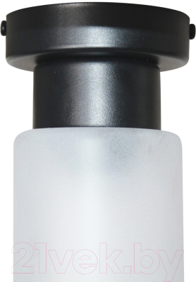 Потолочный светильник Элетех Крош 111 НПБ 01-60-104 Е27 / 1005404607 (черный муар)