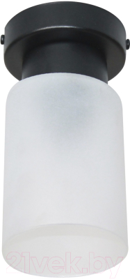 Потолочный светильник Элетех Крош 111 НПБ 01-60-104 Е27 / 1005404607 (черный муар)