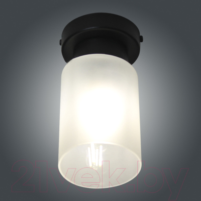 Потолочный светильник Элетех Крош 111 НПБ 01-60-104 Е27 / 1005404607 (черный муар)