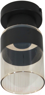 Потолочный светильник Элетех Крош 111 НПБ 01-60-104 Е27 / 1005404606 (черный муар)