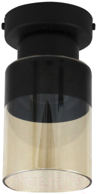 Потолочный светильник Элетех Крош 111 НПБ 01-60-104 Е27 / 1005404606 (черный муар)