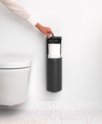 Держатель для туалетной бумаги Brabantia MindSet 303166 (минерально-серый)