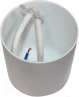 Потолочный светильник Элетех Люкс 160 НСБ 72-60 М50 / 1005404594 (белый)