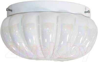 Потолочный светильник Элетех Малютка 180 НПО 22-60-250 / 1005150560 (опал перламутровый) - фото