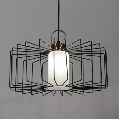 Потолочный светильник Элетех Манго 211 НСБ 01-60-171 Е27 / 1005405087